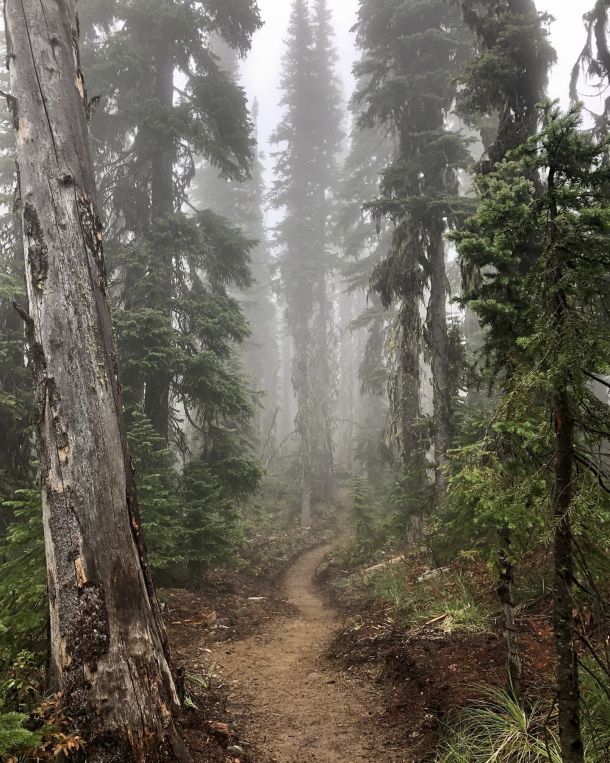 mountain biking nelson bc